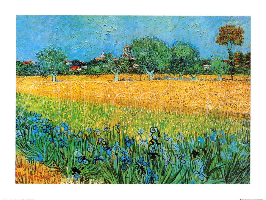 View of Arles with Irises - Vincent Van Gogh Paintings